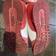 23.5cmプーマピンクの画像