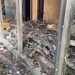 木材お譲りします。お譲りする場所は千葉県いすみ市の大原海水浴場そば。　まき等に。 近隣に複数あるキャンプ場のキャンプファイヤーに。 野焼きに。 長期放置をして肥料などにいかがでしょうかの画像