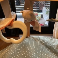 ベビージムの画像