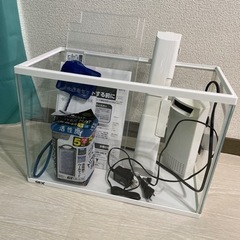 水槽☆ライト、濾過装置、フィルター(未開封5個入り)の画像