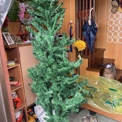 クリスマスの木