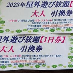 グリーンピア大沼　遊び放題２枚５千円　大人、子供でも