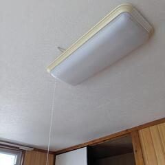 お話中★蛍光灯★傘付きすべて★の画像