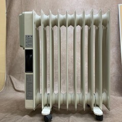 DBK ドイツ製　電気ラジエター　ラジエターヒーター　ATZ13/10J 中古品の画像