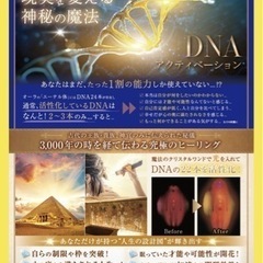 【本日開催！11/17池袋占いマルシェ】