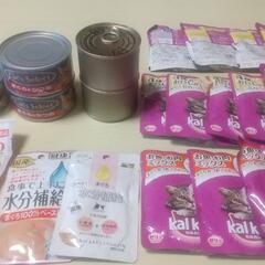 保護猫活動されてる方に