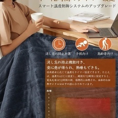 【新品未使用】電気毛布　150✖️80サイズの画像
