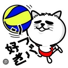 ソフトバレー参加しませんか？
