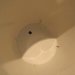 【新品未使用】大きい鉢(直径36.5cm)と受け皿セット/10号/白/ホワイトの画像