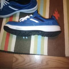 取引決定　安全靴（25.5）の画像