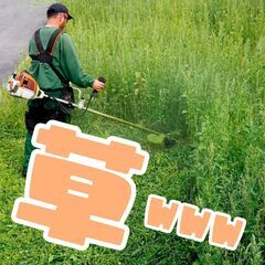 11月6日〜【一人親方】草刈の応援に来てください!【個人事業主】の画像