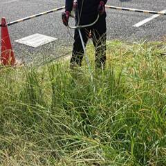 11月6日〜【一人親方】草刈の応援に来てください!【個人事業主】の画像