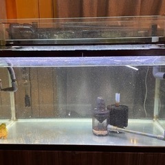 取引中　90cm水槽　LED 上部濾過セット　色々付きの画像