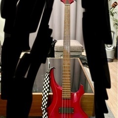 【取引先決定】Grass Roots  エレキベース ソフトケー...