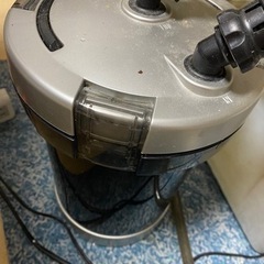 60cmフィルター+水槽+ランチュウ1匹セットの画像