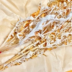 【値下げしました】珍しい　瑠璃玉アザミ　茎付きドライフラワーの画像