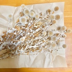 【値下げしました】珍しい　瑠璃玉アザミ　茎付きドライフラワー