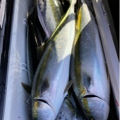 釣り仲間募集 − 三重県