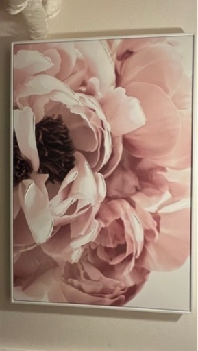 絵　フランフラン