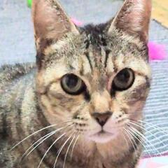 ♥️愛♥️甘えん坊♥️愛ちゃん