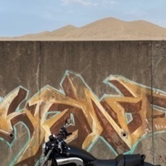 V-MAX