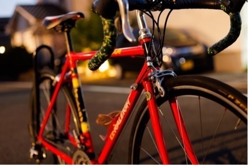 RALEIGH カールトンTI(Carlton TEAM TI)