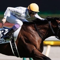 秋の天皇賞♪天覧競馬！