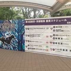 秋の天皇賞♪天覧競馬！ - その他