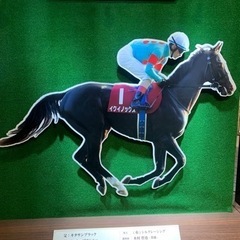 秋の天皇賞♪天覧競馬！ − 東京都