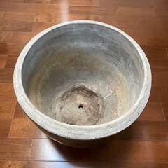 大型の鉢　観葉植物　の画像