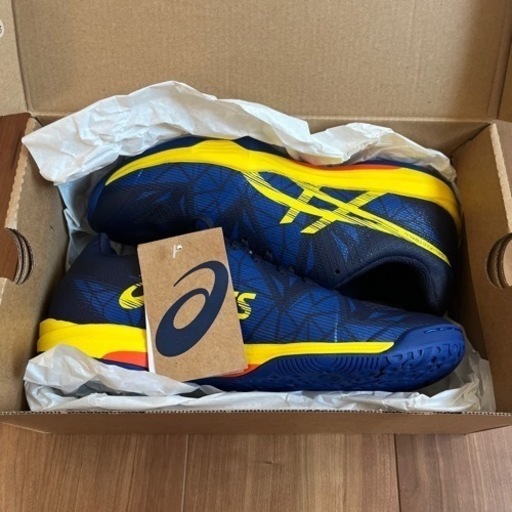 アシックスハンドボールシューズ GEL-FASTBALL3 2足セット売り