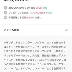 ツモリチサトのキャリーケースの画像