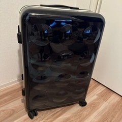 ツモリチサトのキャリーケースの画像