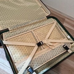 ツモリチサトのキャリーケースの画像