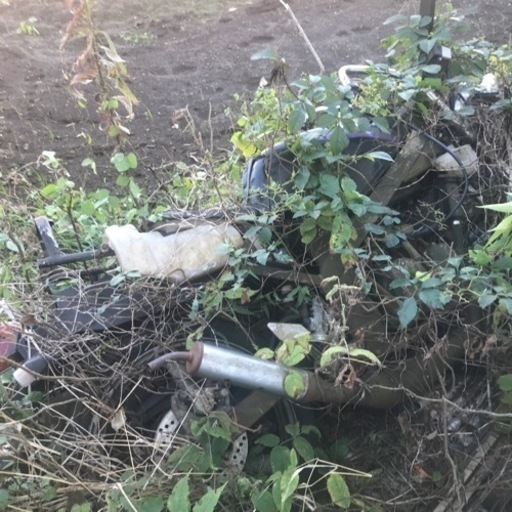 TZR50  不動車　カギ　書類なし 旧車