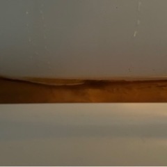 2ドア冷凍冷蔵庫 ハイセンスの画像