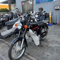 YB1 4st