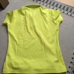 paradiso レディース Lの画像