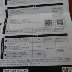 東京ドームシティ　得10チケット　2冊　20ポイントの画像