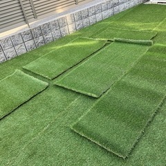 人工芝 半端  無料（決まりました）
