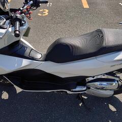 PCX125 JF56の画像