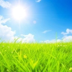 急募‼️  先着順で決まり次第締め切りとさせて頂きます。即入寮可...