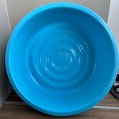 【差し上げます】大掃除　プラスチック　たらいの画像