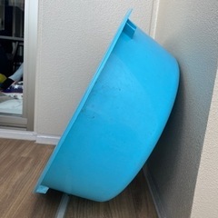 【差し上げます】大掃除　プラスチック　たらいの画像