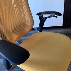 オカムラ Okamura Contessa secondaの画像