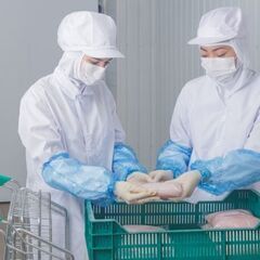 ＊特定技能実習生向け＊食品工場での仕分け、オペレーター業務（日勤）