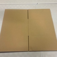 ダンボール1000枚　50束