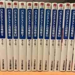 バカとテニスと召喚獣　小説