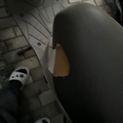 アドレスv125の画像