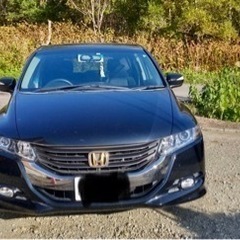 H21年式　オッデイセイアブソルート　超美車